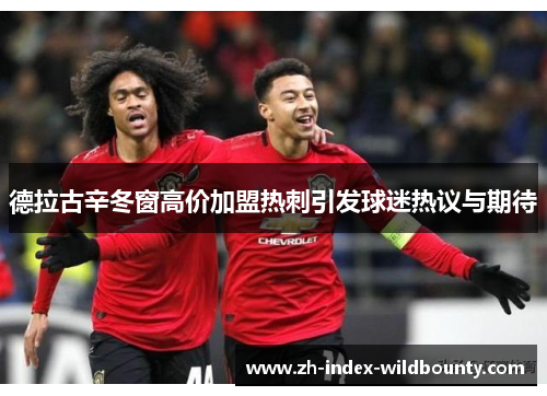 德拉古辛冬窗高价加盟热刺引发球迷热议与期待 德拉古辛冬窗高价加盟热刺引发球迷热议与期待