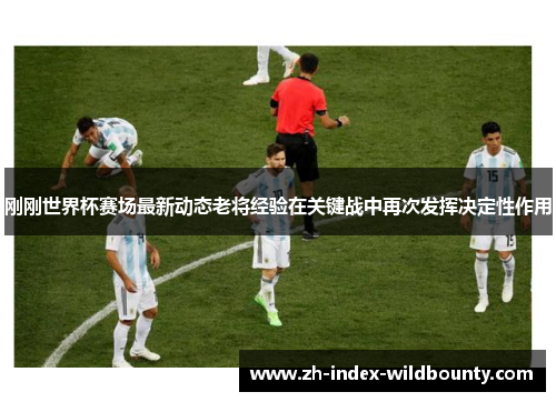 刚刚世界杯赛场最新动态老将经验在关键战中再次发挥决定性作用