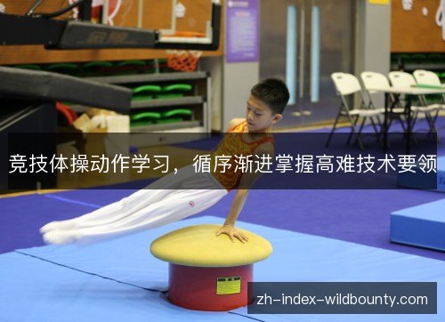 竞技体操动作学习,循序渐进掌握高难技术要领 竞技体操动作学习,循序渐进掌握高难技术要领