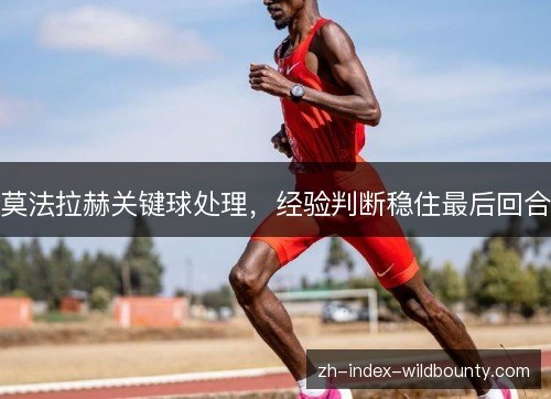 莫法拉赫关键球处理，经验判断稳住最后回合